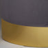 Native Home Lifestyle Round Grey Velvet Stool - Gold Finish
