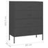 Lady Jillian - Chest of Drawers Anthracite 80x35x101,5 cm Steel