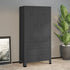 Lady Jillian - Industrial Wardrobe Anthracite 90x50x180 cm Metal