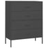 Lady Jillian - Chest of Drawers Anthracite 80x35x101,5 cm Steel