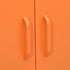 Lady Jillian - Storage Cabinet Orange 80x35x101,5 cm Steel - Model 3