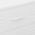 Lady Jillian - Chest of Drawers White 80x35x101,5 cm Steel