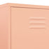 Lady Jillian - Wardrobe Pink 90x50x180 cm Steel