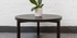 Iris Coffee Table