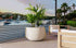 Blinde Design Stitch 125 Concrete Planter - Bone Finish - BLD.1.P.STI.125.Y.BO