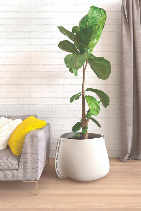 Blinde Design Stitch 75Concrete Planter - Natural Finish - BLD.1.P.STI.75.Y.NA