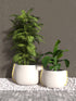 Blinde Design Stitch 100 Concrete Planter - Graphite Finish - BLD.1.P.STI.100.Y.GH