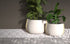 Blinde Design Stitch 125 Concrete Planter - Graphite Finish - BLD.1.P.STI.125.Y.GH